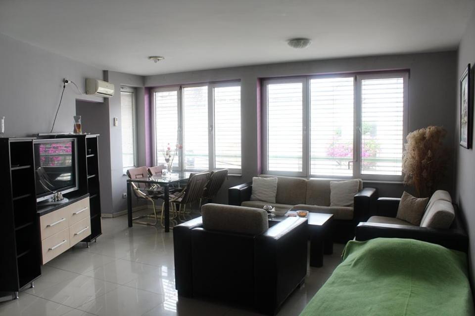 Apartman Natasa 1 Vrsac Exterior foto